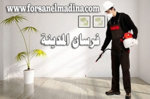 شركة رش مبيدات بالمدينة المنورة