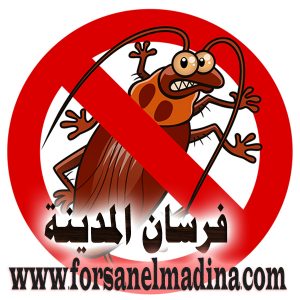 مكافحة الصراصير