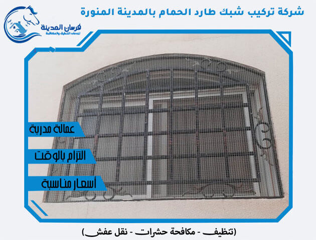 شركة تركيب شبك طارد الحمام بالمدينة المنورة