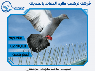 شركة تركيب طارد الحمام بالمدينة المنورة