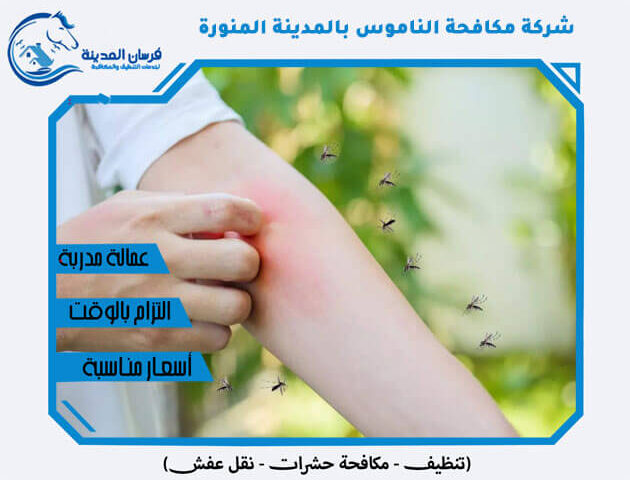شركة مكافحة الناموس بالمدينة المنورة