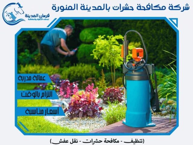 شركة مكافحة حشرات بالمدينة المنورة