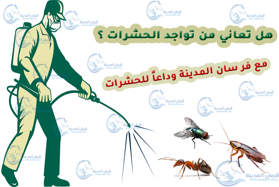 مكافحة حشرات بالمدينة المنورة
