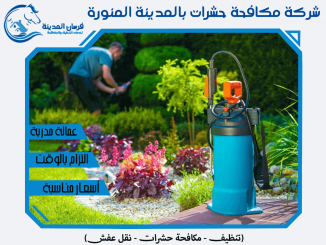 شركة مكافحة حشرات بالمدينة المنورة